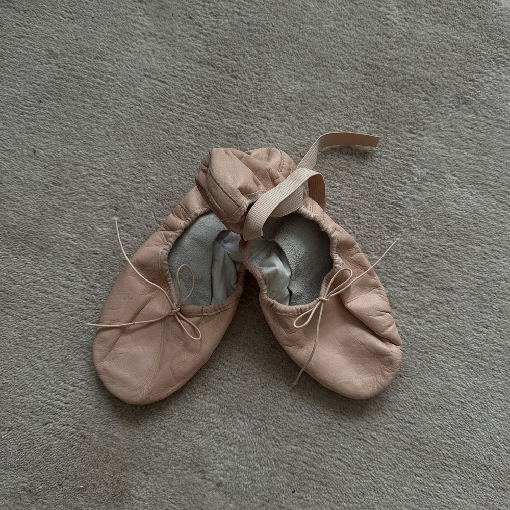 Adult Leather Ballet Shoes in Pink